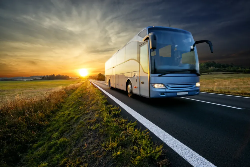 Bus