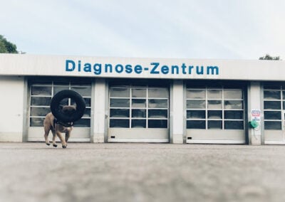 L und M Reifenservice